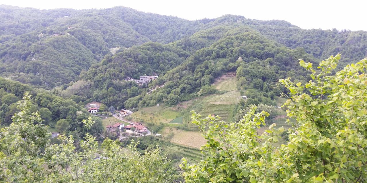 Isasca - Bric Trefin - Nadin Haus - Brondello Turm