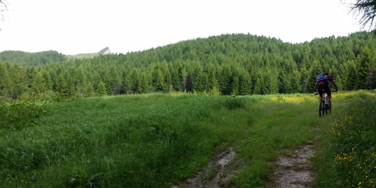 Valloriate - Ortiga Hügel - Alpe di Rittana Kamm - Gorgia Hügel - Weltlicher Baum der Moutta