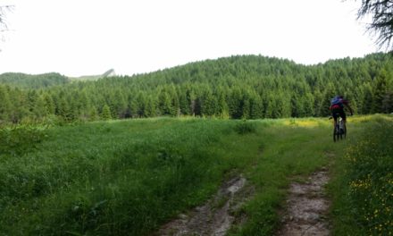 Valloriate – colle dell’Ortiga – cresta dell’Alpe di Rittana – colle della Gorgia – Albero secolare della Moutta